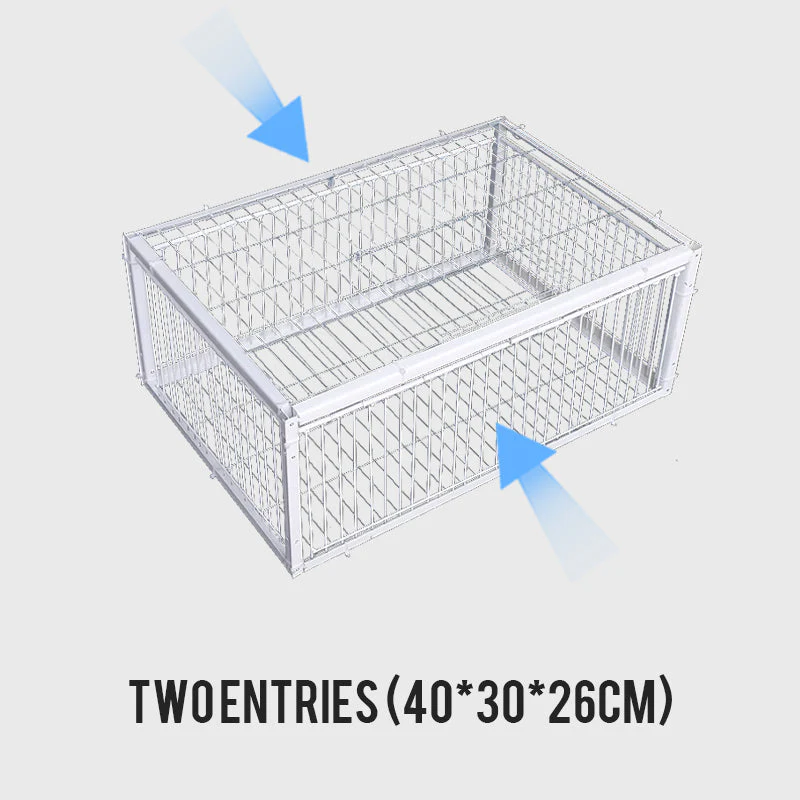 AutoTrap Bird Cage - Entry Only, No Exit - Image 10
