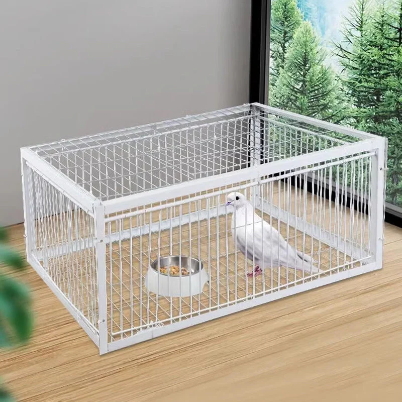 AutoTrap Bird Cage - Entry Only, No Exit - Image 2