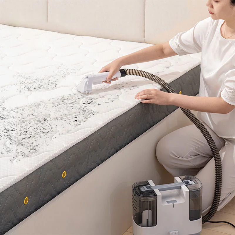 Multifunctional  Dry Cleaning Machine for Cloth Carpet Sofa Mattress - Image 2