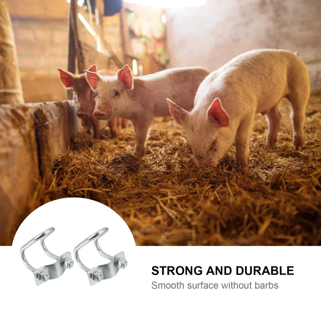 U-Shaped Buckle Stainless Steel Clamp Double U Buckle - Image 3