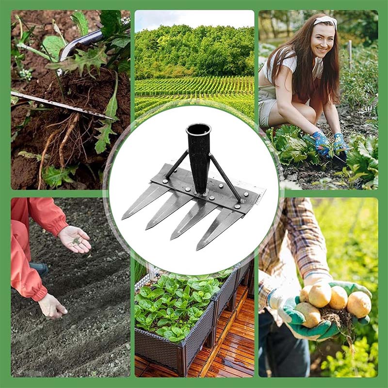 Heavy-Duty Steel Garden Weeding Rake - Image 2